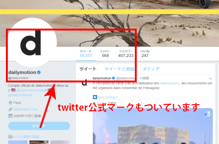 デイリーモーションツイッター説明画像