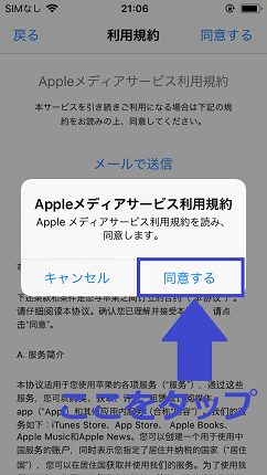もう一度同意するをタップ