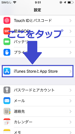 iTunes StoreとApp Storeをタップ