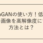 TecoGANの使い方