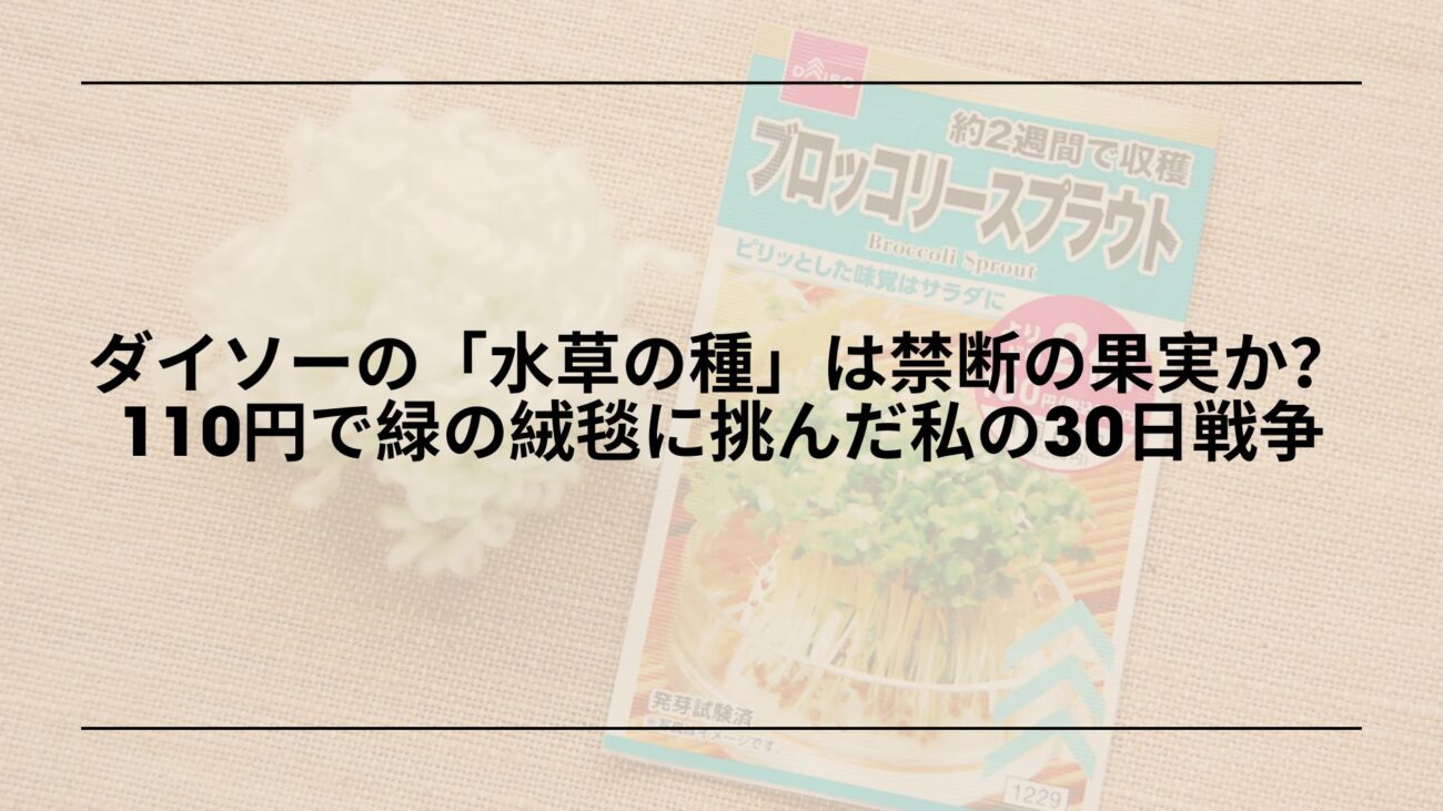 ダイソー-水草の種-育て方-レビュー, ダイソー-水草の種-発芽-失敗-対策, ダイソー-水草の種-アクアリウム-体験談, ダイソー-水草の種-絨毯レイアウト-コツ