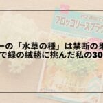 ダイソー-水草の種-育て方-レビュー, ダイソー-水草の種-発芽-失敗-対策, ダイソー-水草の種-アクアリウム-体験談, ダイソー-水草の種-絨毯レイアウト-コツ