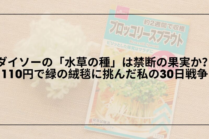 【実録】ダイソーの「水草の種」は禁断の果実か？110円で緑の絨毯に挑んだ私の30日戦争