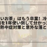 冷凍できる水筒おすすめ代用品Amazon楽天比較, 水筒冷凍OKボトルおすすめ選び方, ステンレス水筒冷凍NG理由と代替ボトル, 冷凍対応ボトル保冷グッズおすすめ比較