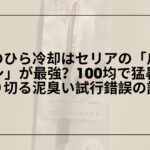 手のひら冷却-100均-セリア-爪ブラシ-保冷剤, 手のひら冷却-100均-おすすめ-暑さ対策グッズ, セリア-爪ブラシ-手のひら冷却-やり方, 手のひら冷却-100均-保冷剤-暑さ対策-レビュー
